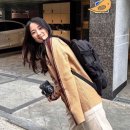 옆집언니 이미지