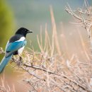 승재한의원 이미지