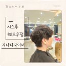 쉐도우비전 이미지