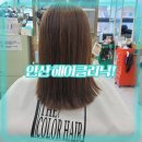 지원헤어칼라 | 안산 헤어클리닉! 잘하는 곳 미용실 추천 후기~(상위 1% 밀본 오주아 리페어리티 크리닉)