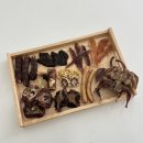 해피벌스댕댕 이미지