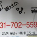 뿔난소 이미지