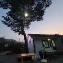 추노생고기