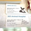 365동물병원 분당점 이미지