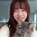 써니와이