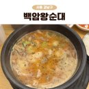 명가백암왕순대 | 강남구청 순대국 맛집 백암왕순대 성시경 먹을텐데 혼밥 후기