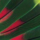 카페로와 이미지