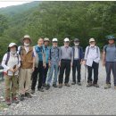 제306차(07/05/20)산행 결과 보고 : 신불산 청석골 = 1/3 이미지