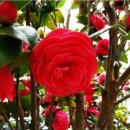 동백모텔 이미지