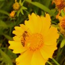 뚝섬한강공원과 금대산 이미지