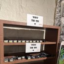 벅스PC | 인천아이랑가볼만한곳 와일드벅스곤충탐험대 예매방법