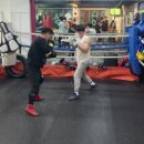 한철민복싱클럽 이미지