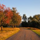 개울다방 이미지