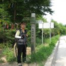 복성여관 Daum카페