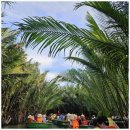 반일코스 이미지