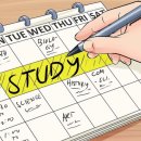 서대전여자고등학교 이미지