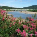 다향이십리길 보성강변 이미지