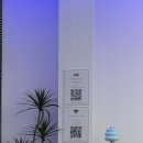 스트리트36모터사이클