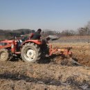 신토불이슈퍼 이미지