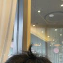 바이번(vibeon) 이미지