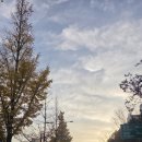 이정래산부인과의원 | 이정래 산부인과 토요일 오전 진료 후기 (배란 초음파 확인+난포주사)