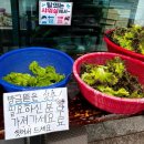 북한산초등 | 서울 근교 취사가능 수영장 북한산 천연옥 워터파크 주차 요금 자리 편의시설 방문후기