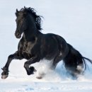 창승