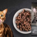 나투어리베 이미지