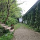 아미미술관 이미지