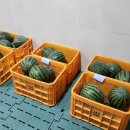 고령군농업기술센터 이미지