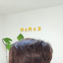 자혜내과의원 네이버블로그