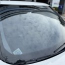 카프렌즈 이미지