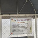 봉좌마을 | 가족과 즐기는 봉좌마을캥핑장!!