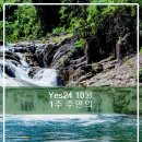 (주)정글히어로 이미지