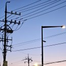 미로네분식 이미지