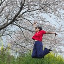 파리바켓트 | 202603/30(월)~04/02(목) 제주여행