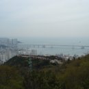 동수영중 앞 이미지