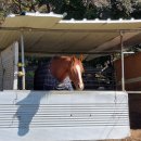 인천맛집 유천가든 이미지