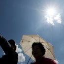 서울햇빛동물병원 이미지