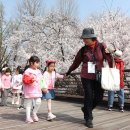 강남-293 이미지