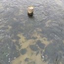 석수목욕탕 이미지