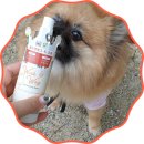 웨그독 | 유토페티아/정말 매력적인 향기&lt;더블리스풀독 윙크앤웨그 독 코롱&gt;엄마가 낑깡이에게 양보할께~~^^