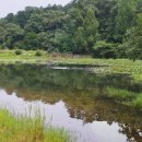 이곡초등학교 이미지