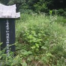 합천이용소 Daum카페