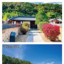 주식회사 스마트여행사