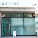 엘라아이래쉬