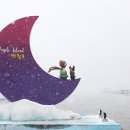 바다정원 이미지