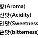 커피마운틴 티스토리