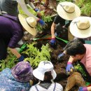 영통구치매안심센터 이미지