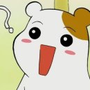 주작산별소리캠핑장